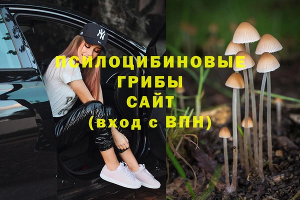 PSILOCYBIN Магадан