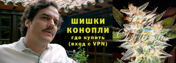 дживик Медвежьегорск