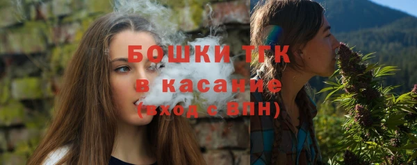 сатива Лихославль